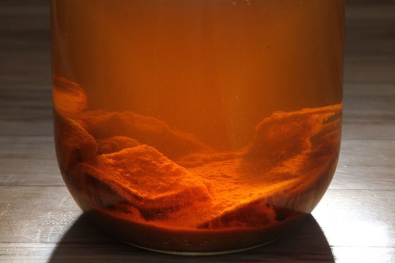 Learn to Make Apple Cider Vinegar (from scratch)