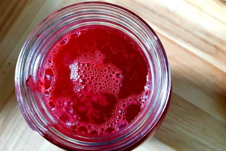 Bubbles on the surface of a fermenting raspberry vinegar
