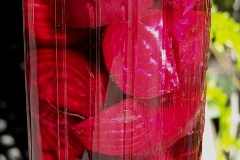 Fermenting chunks of beets in a glass jar