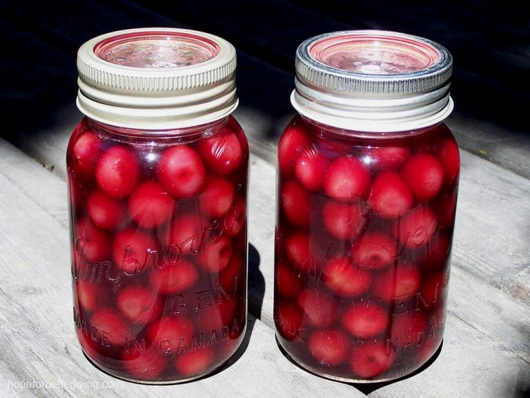 Sweet cherries canned in cherry syrup