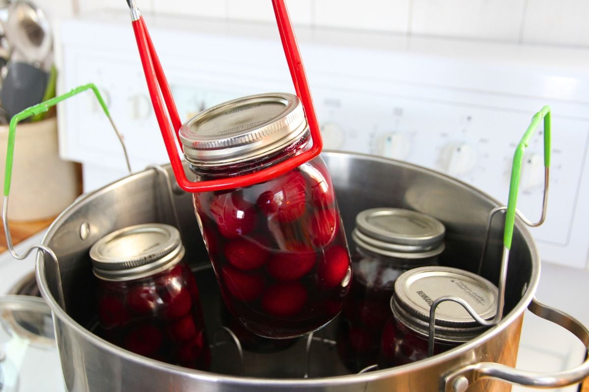 A jar of hot canned cherries being lifted from the canning pot.