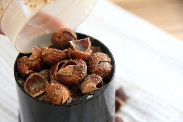Make Homemade Soap Nut Shampoo • Soap Nuts for Natural Hair Care
