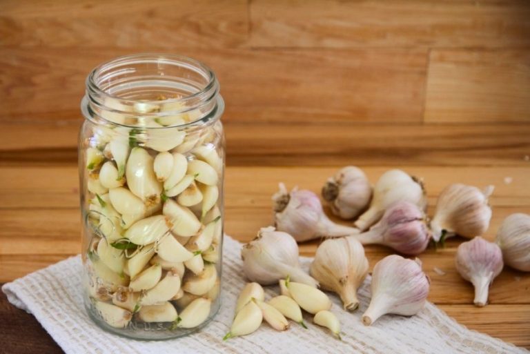 How to Preserve Peeled Garlic in Apple Cider Vinegar • a traditional life