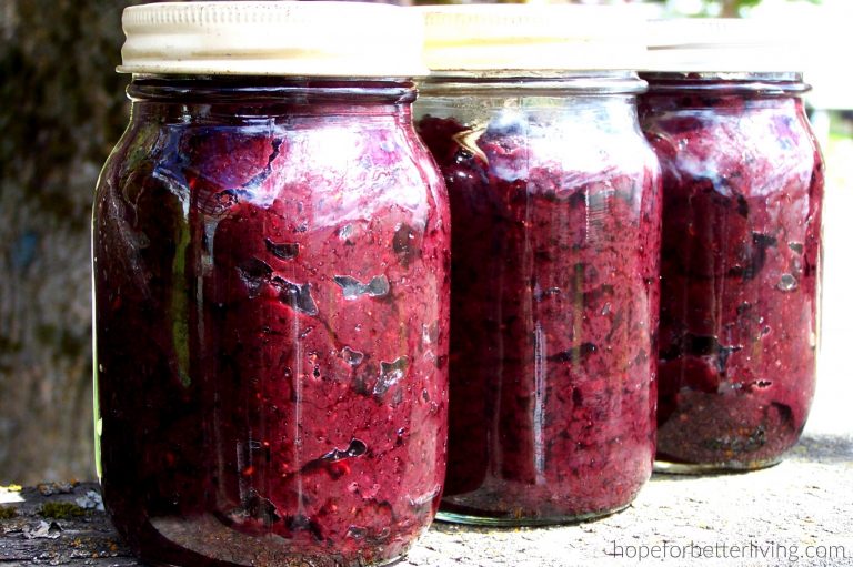 7 Things You Should Know About Pectin-Free Canning
