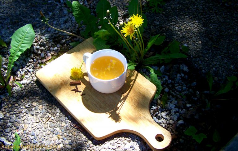 Dandelion Blossom Spice Tea