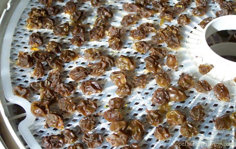 how to make raisins