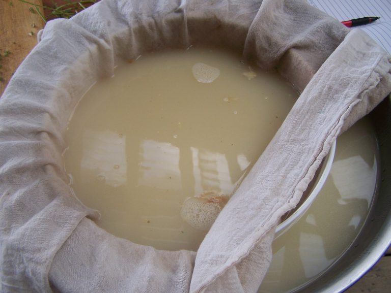 Basics on Making & Pressure Canning Bone Broth • a traditional life