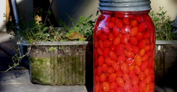A Rose Hip Infused Vinegar