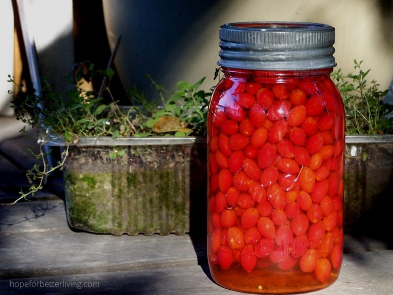 A Rose Hip Infused Vinegar