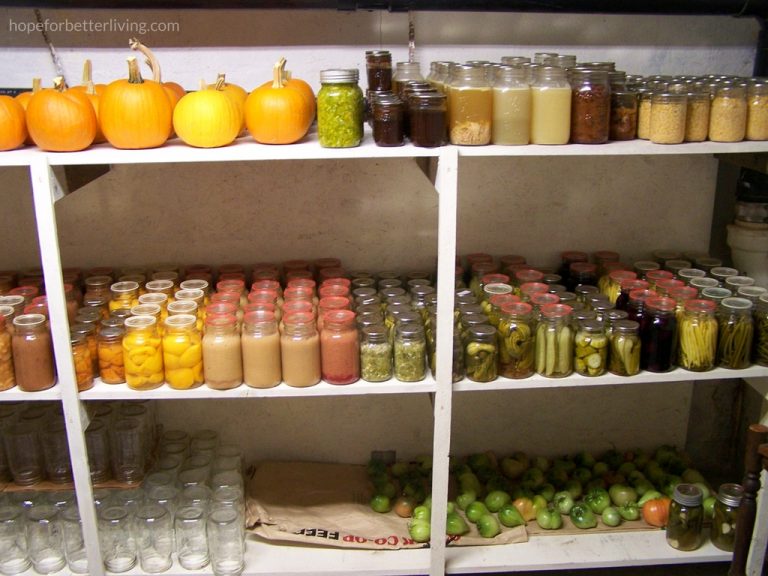 The canning shelf in the cold room