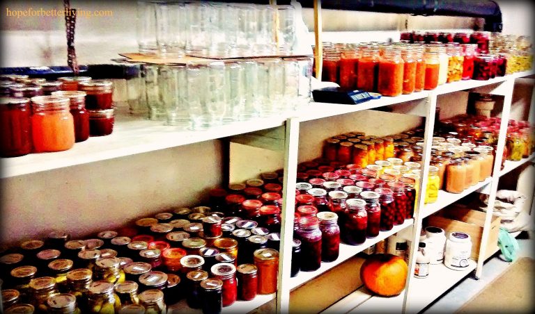 This Year's Harvest: A Peek into our Winter Food Supply