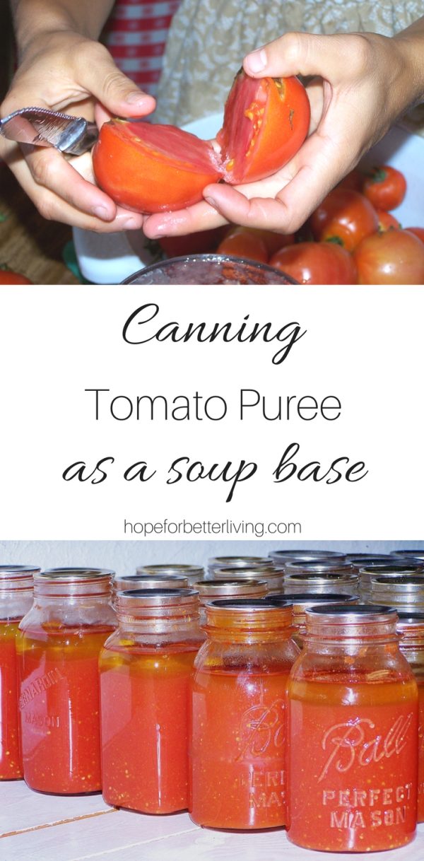 Canning Tomato Puree for Soup Stock • a traditional life