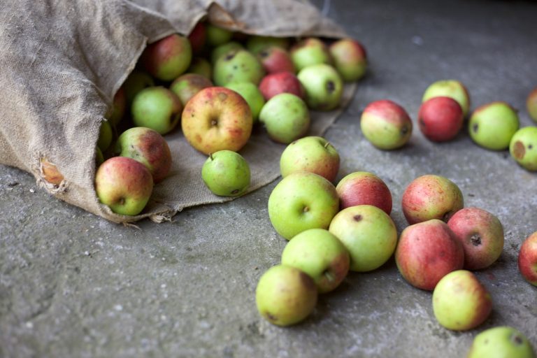 10 Ways We Saved for Land and a Home