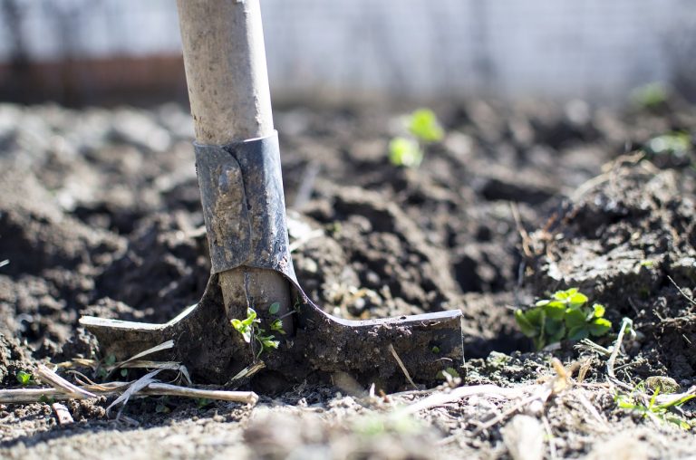 Start a Homestead: 9 Principles for Success