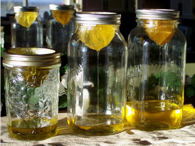 How to Make Herbal Infused Oil