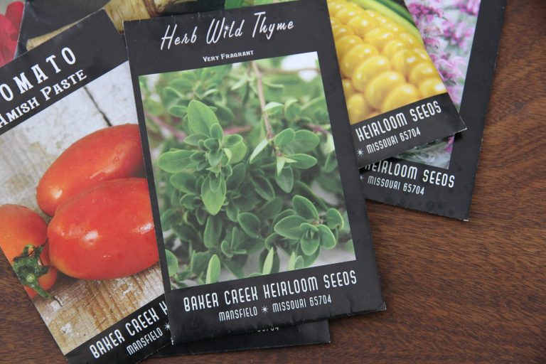 How to Choose Garden Seeds Based on Your Harvest Needs