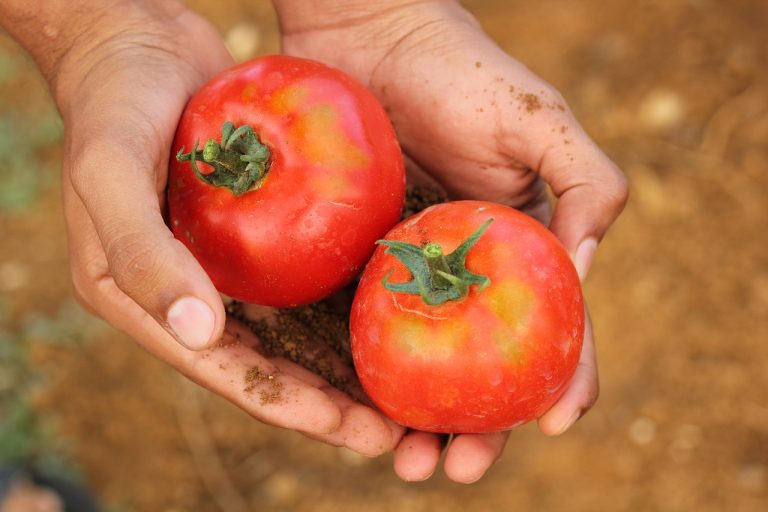 How to Raise a Garden When You Don't Have Space