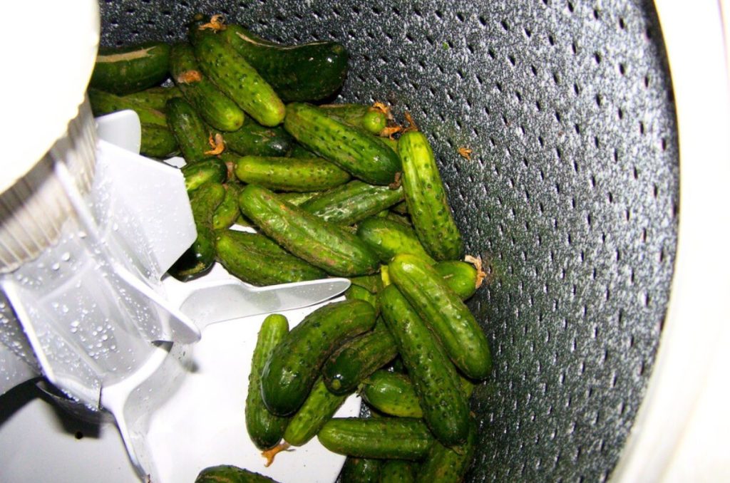 Freshly washed cucumbers in the bottom of a top loading washing machine, ready to be given a final rinse.