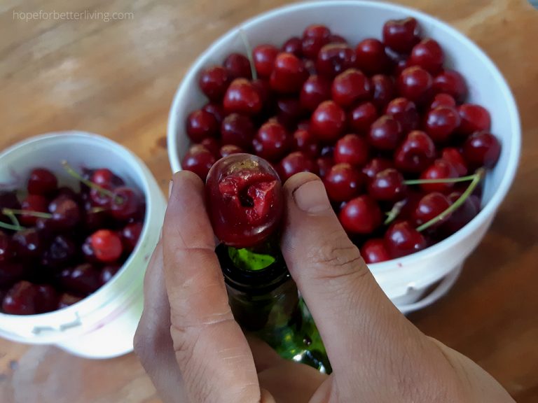 A Cheap and Easy Way to Pit Cherries