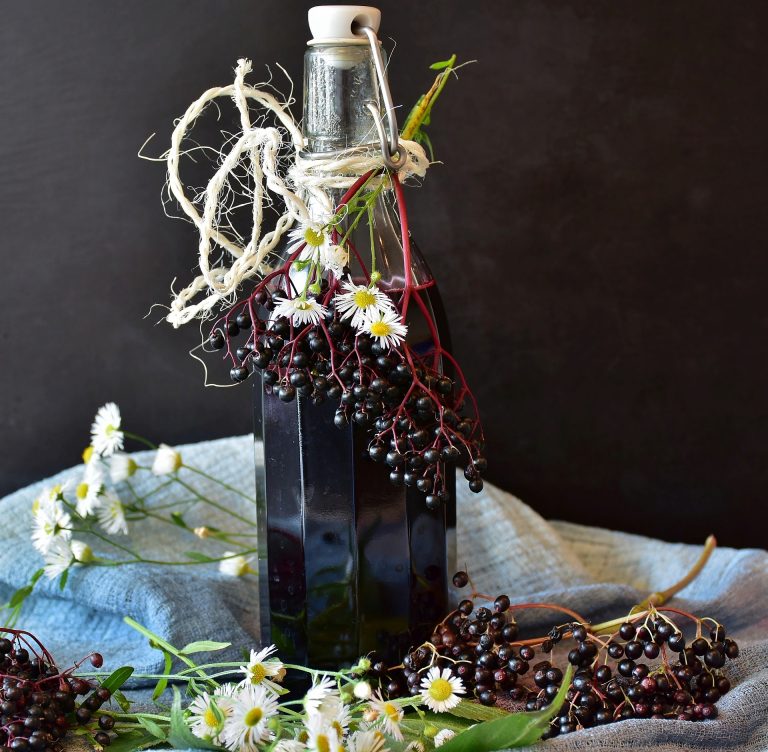 7 Elderberry Recipes For Your Kitchen