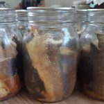 Pint jars of fully canned fresh fish.