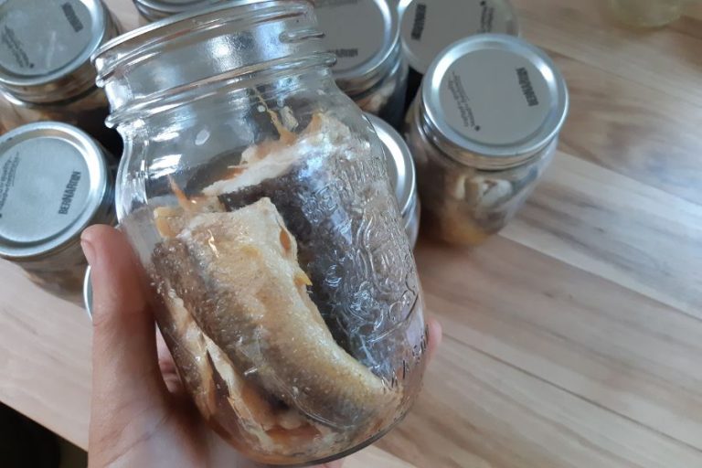 A pint jar filled with freshly canned fish.