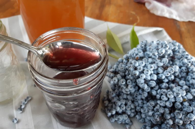 Fermented Elderberry Syrup with Raw Honey
