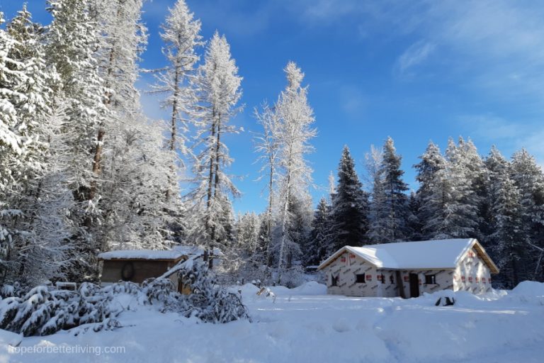 5 Reasons We're Building A Small Home