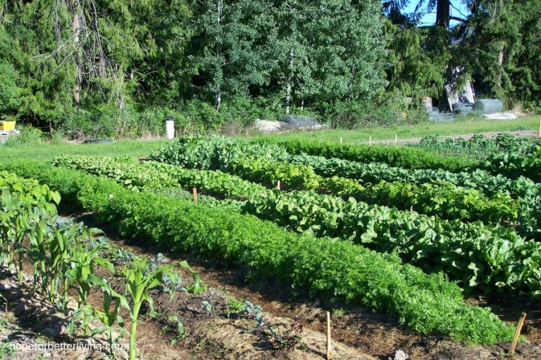 Our Journey to the Farm_ Part 3