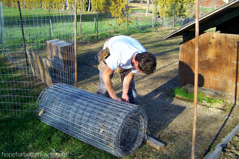 Our Journey to the Farm-Part 4