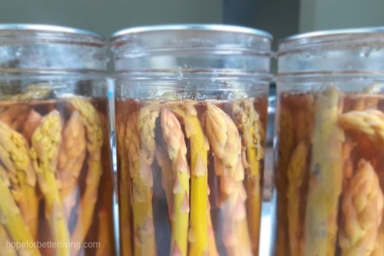 A Pickled Asparagus Canning Recipe