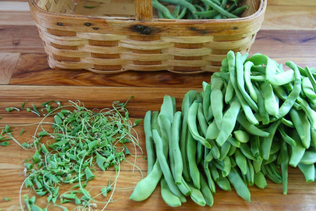 A pile of whole green beans with both ends trimmed off.