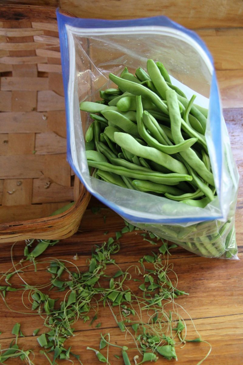 A plastic ziplock bag filled with whole green beans.