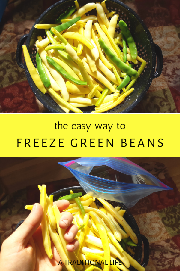 Can You Freeze Green Beans Without Blanching Them? • a traditional life