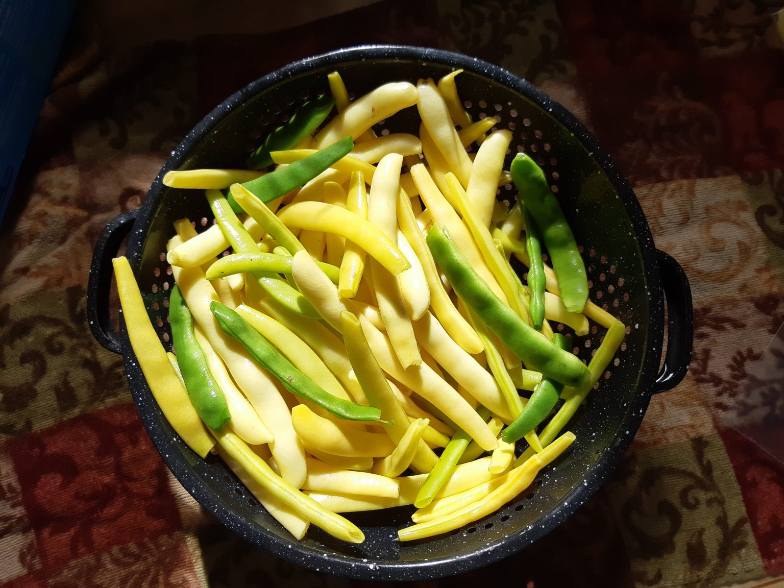 Can You Freeze Green Beans Without Blanching Them? • a traditional life