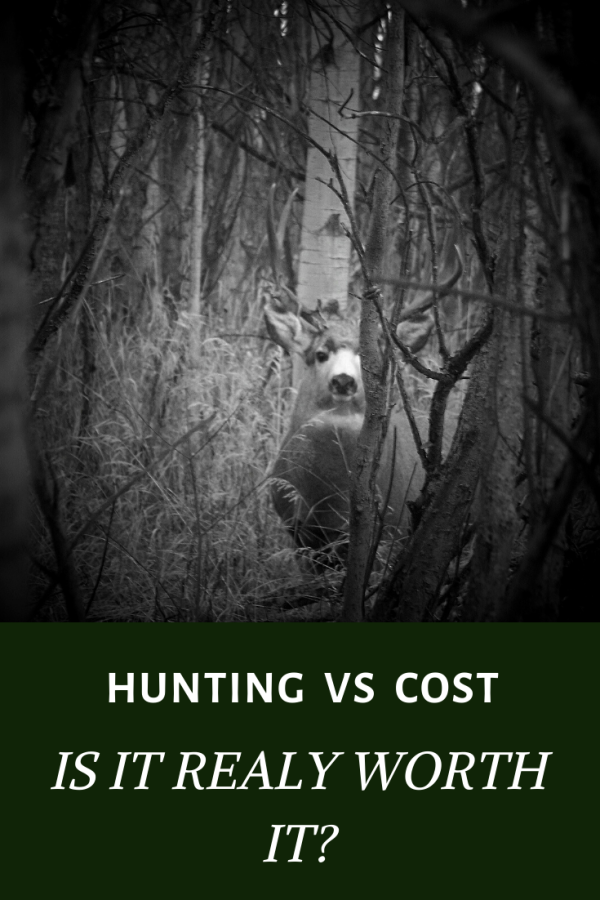 Is Hunting for Meat Cheaper Than Buying It? • a traditional life
