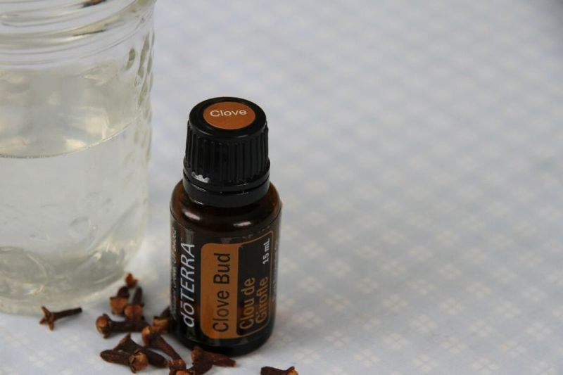 Oil Pulling With Coconut and Clove Oil • a traditional life