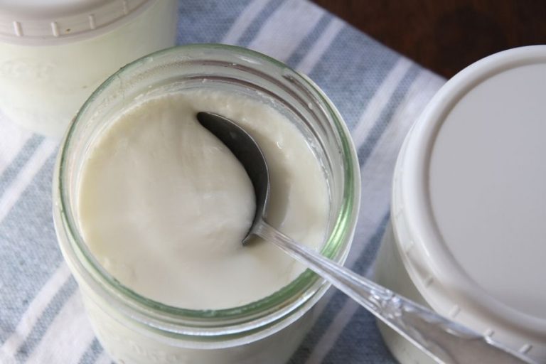 Make Yogurt at Home Raw and Pasteurized Method • a traditional life