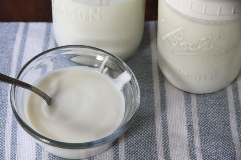 Homemade yogurt in a bowl