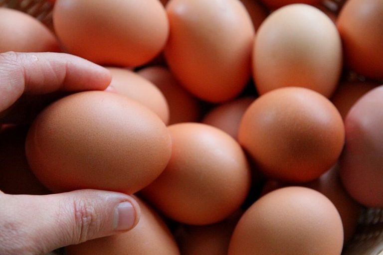 A basket of farm fresh eggs