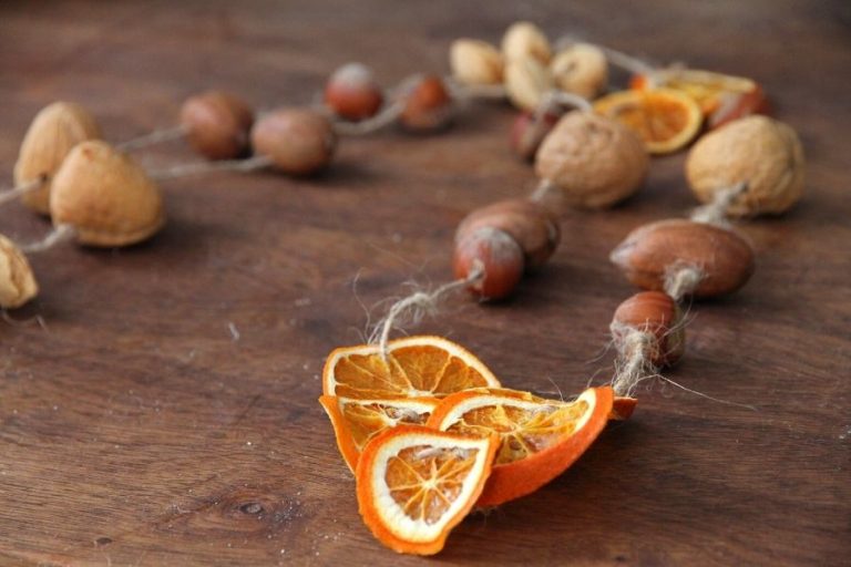 dried orange slices and nuts on a string