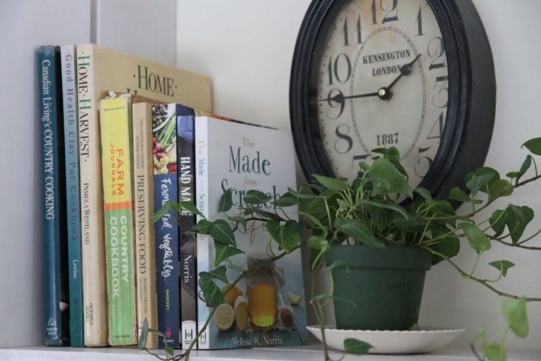 A pile of books, a plant and a clock signify the benefits of living without internet