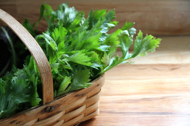 Dehydrate and Make Celery Leaf Powder • a traditional life