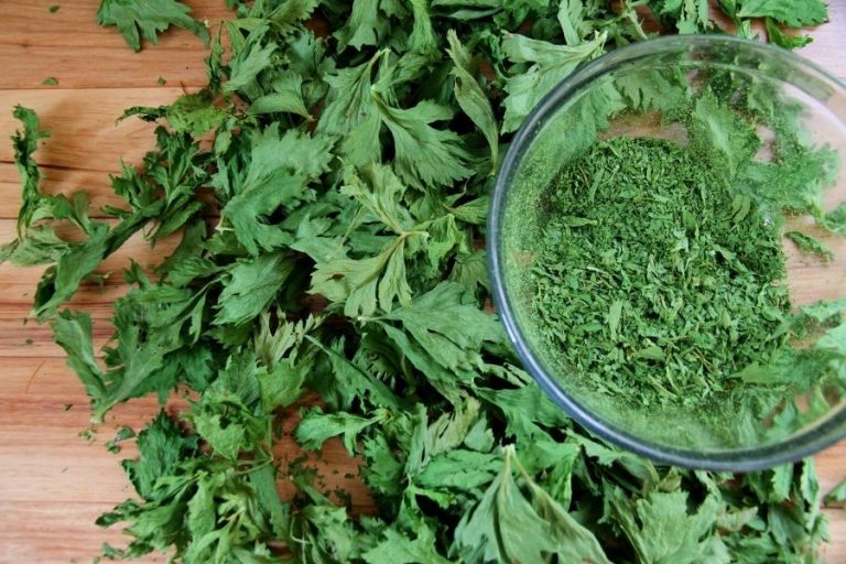A pile of dry celery leaves being put into a bowl