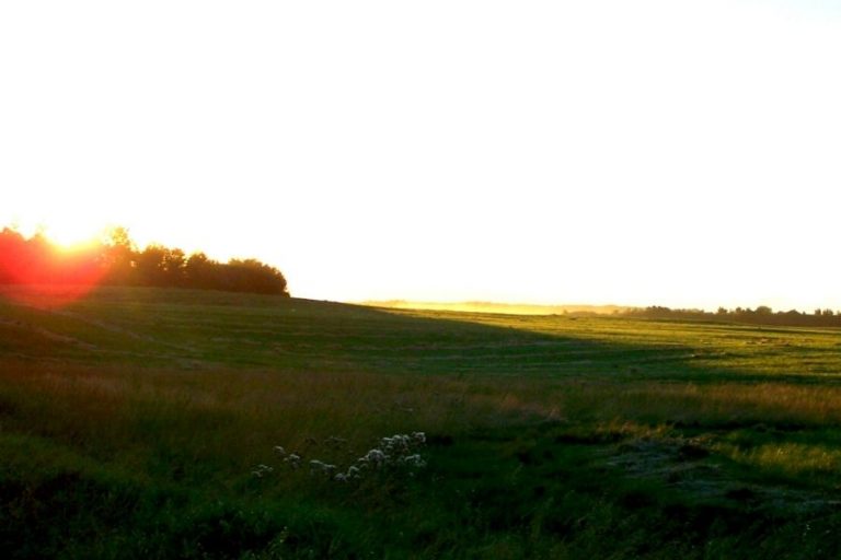 an open meadow at sunset with glades of light spreading over the grasses