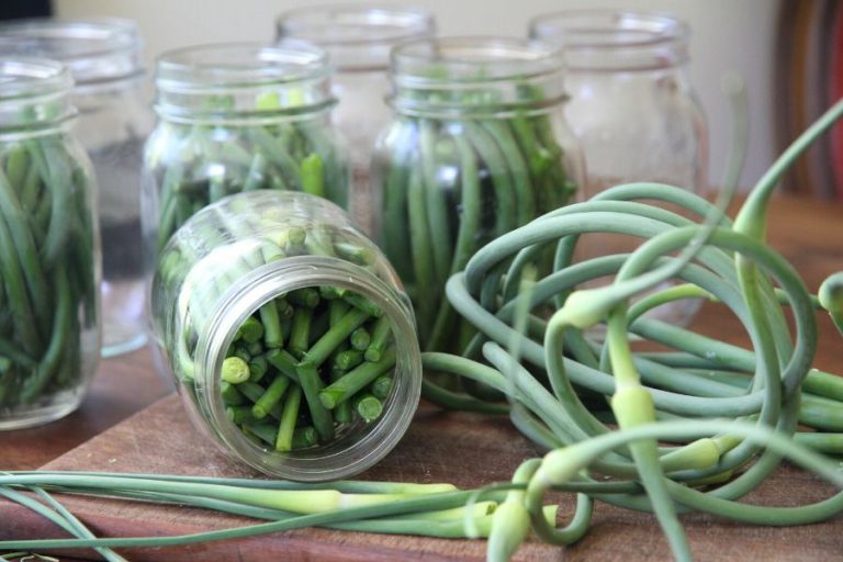 a pile of garlic scapes on a cutting board surrounded by several jars of filled garlic scapes