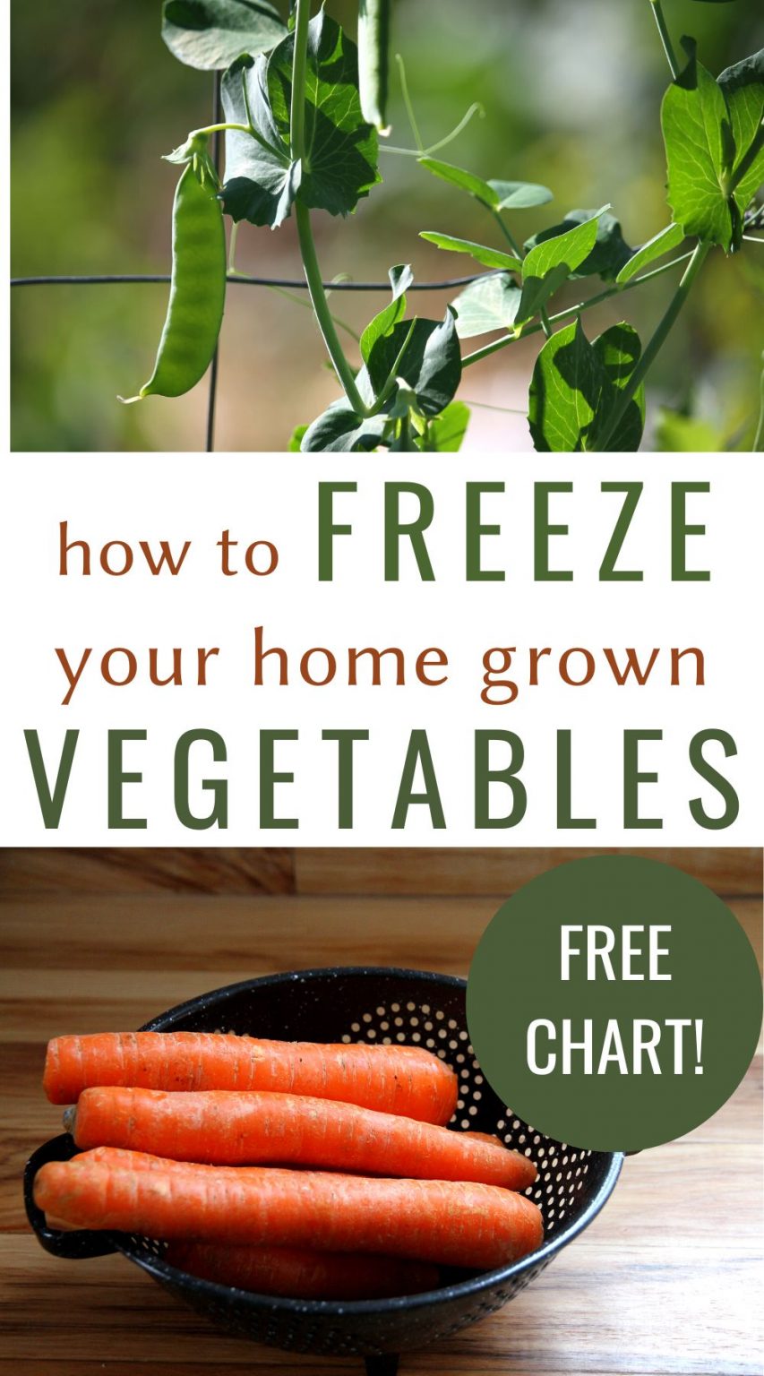 How to Freeze Vegetables from Your Garden • a traditional life