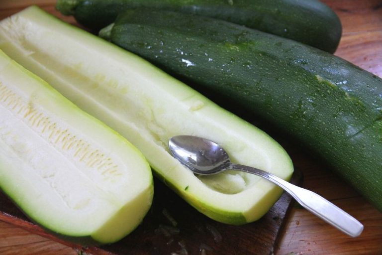 How to Freeze Fresh Zucchini from the Garden • a traditional life