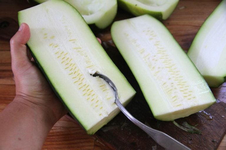 How to Freeze Fresh Zucchini from the Garden • a traditional life
