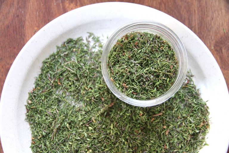 a white plate of dry thyme being placed in a glass mason jar